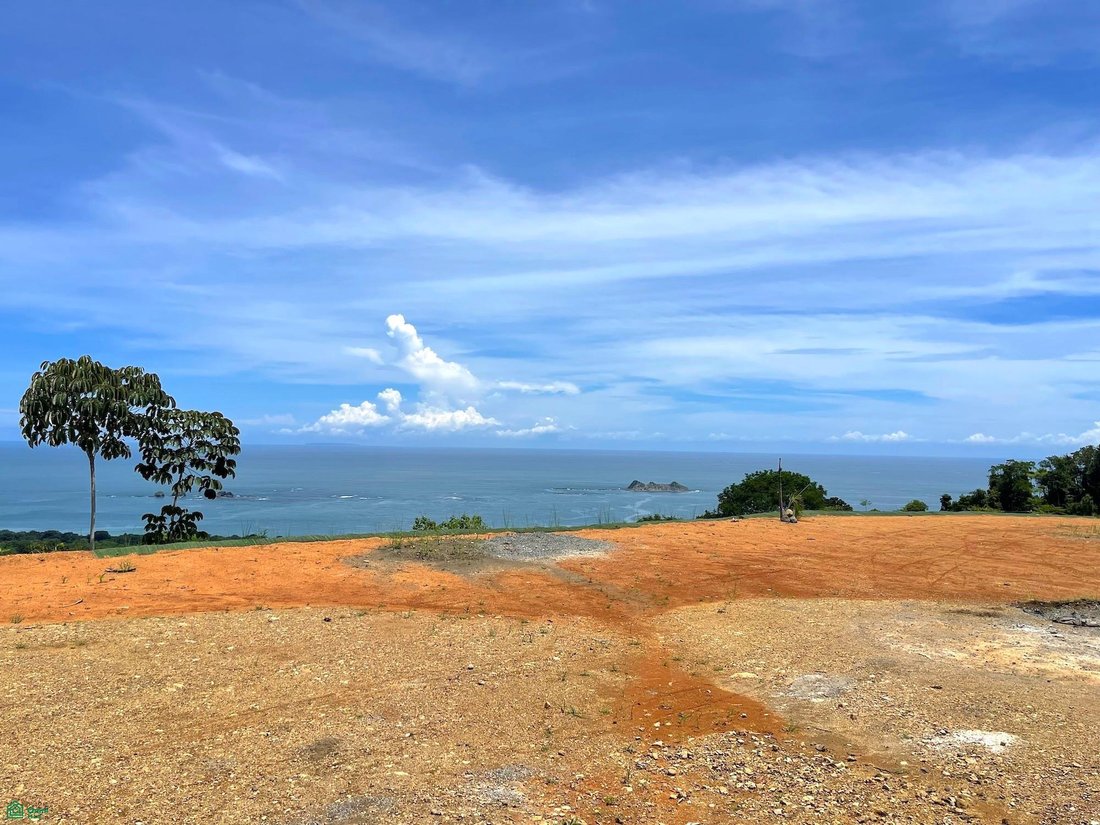 Land in Quebrada, Puntarenas Province, Costa Rica 1 - 18682442