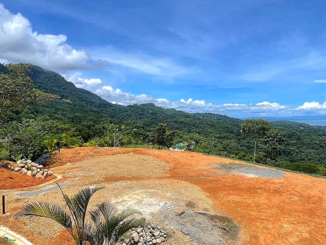 Land in Quebrada, Puntarenas Province, Costa Rica 3 - 18682442
