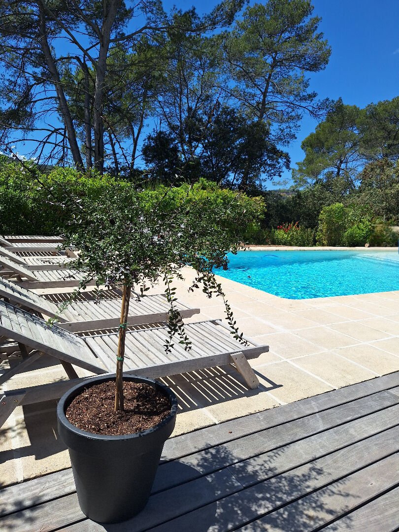 Villa in Le Thoronet, Provence-Alpes-Côte d'Azur, France 1 - 18681563
