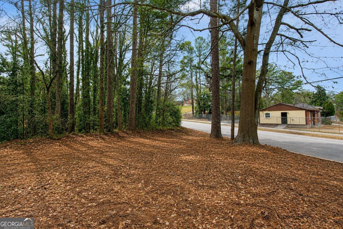 House in Atlanta, Georgia, United States 2 - 17282773