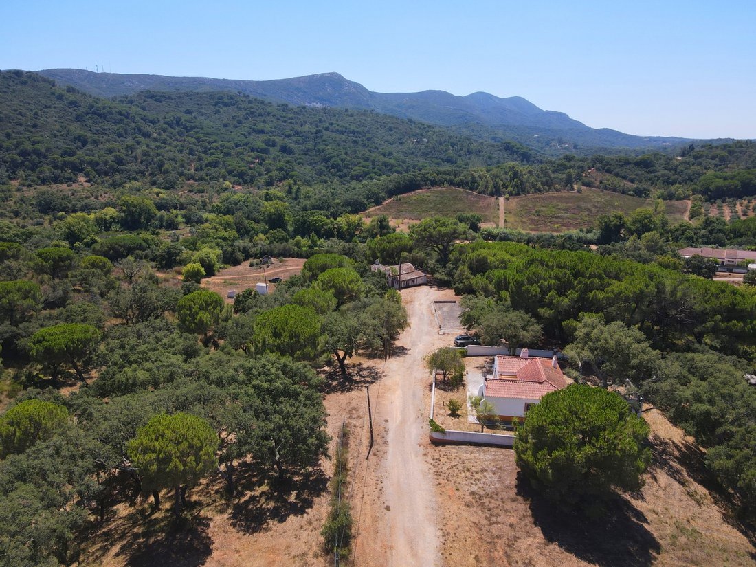 Finca à Setubal, Setúbal Municipality, Portugal 4 - 18683527