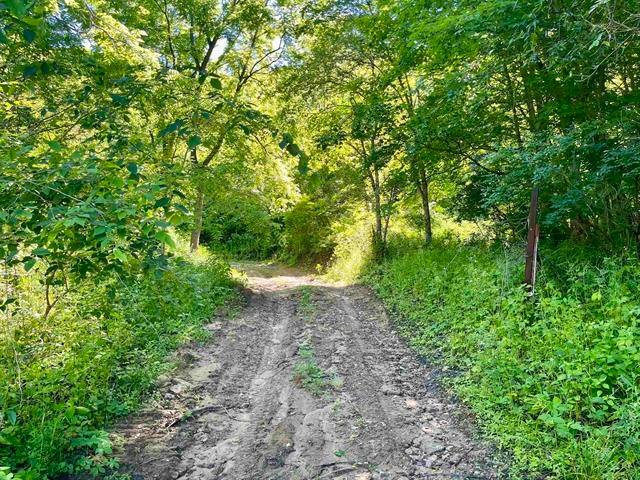 Land in Seneca, Wisconsin, United States 2 - 18681099