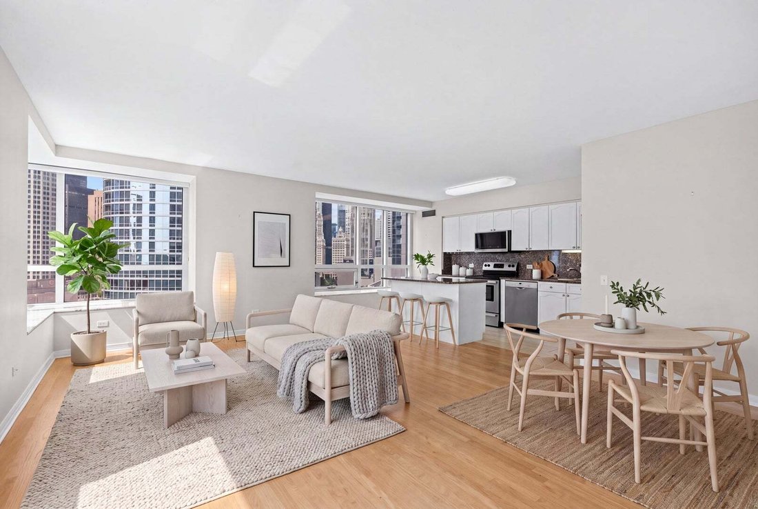 Condo in Chicago, Illinois, United States 4 - 18682679