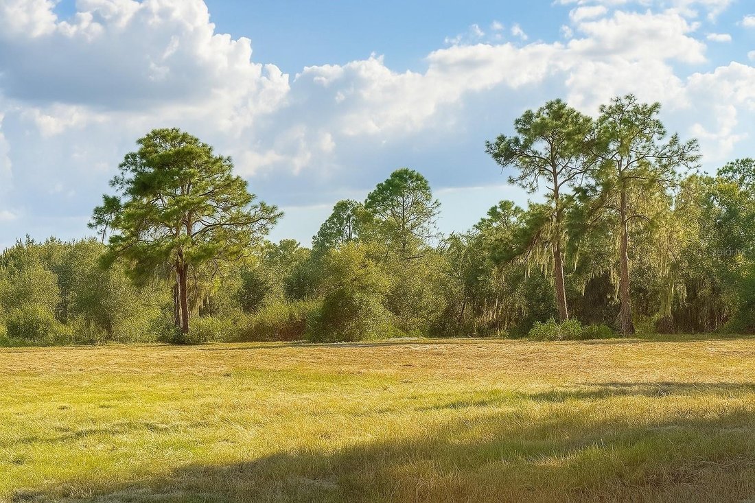 Land in Plant City, Florida, United States 1 - 16572096