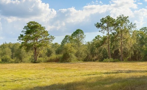 Land in Plant City, Florida, United States 1
