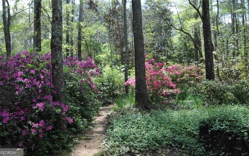 House in Newnan, Georgia, United States 2 - 18682986