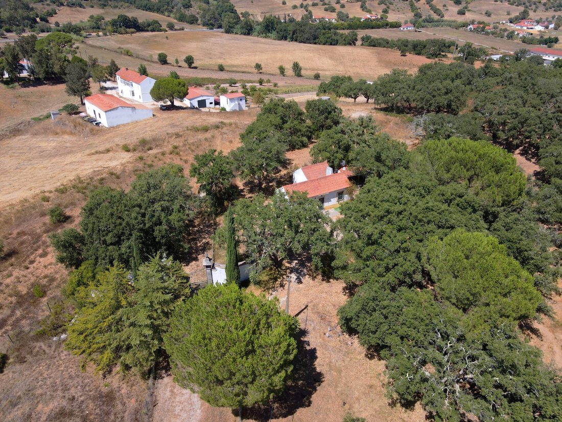 Finca à Setubal, Setúbal Municipality, Portugal 5 - 18683527