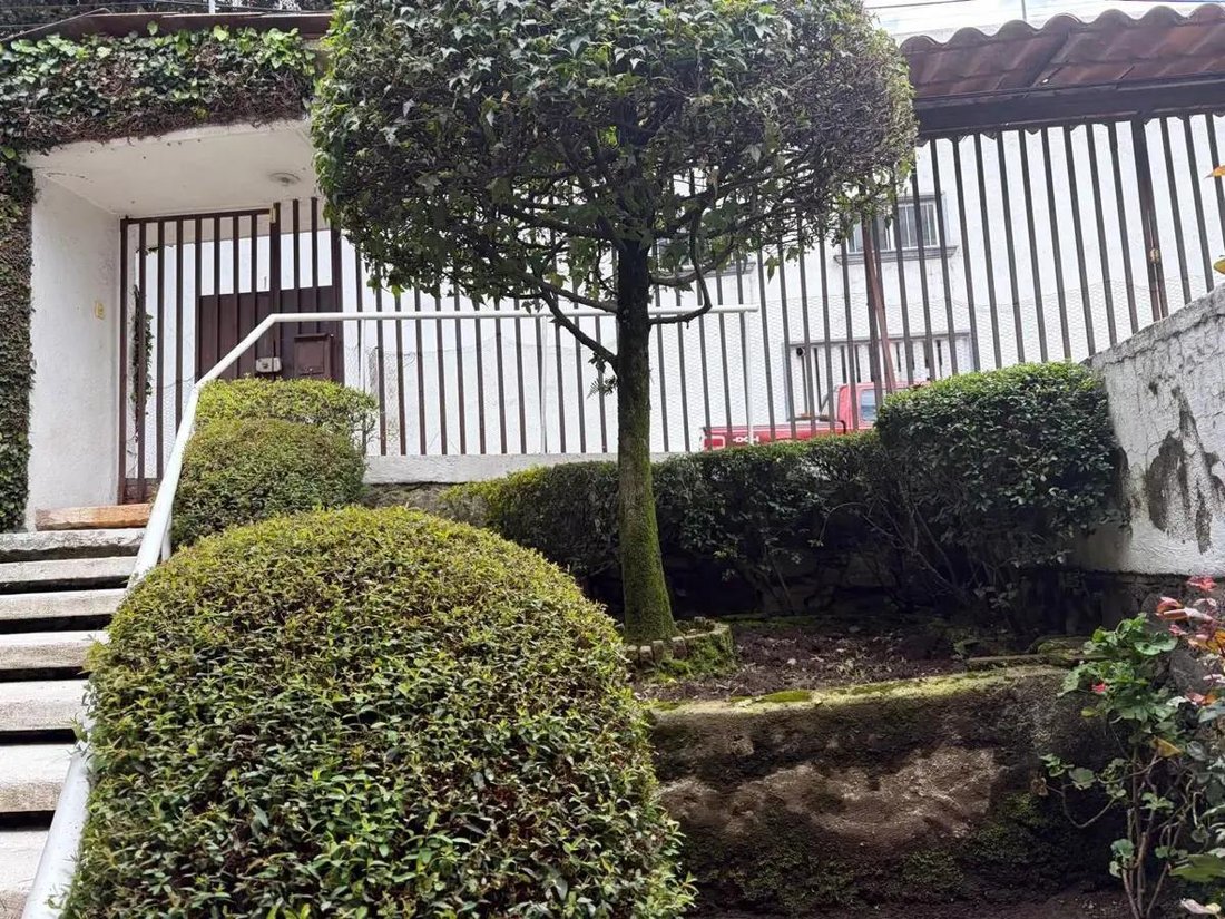 House in Mexico City, Mexico 1 - 18681689
