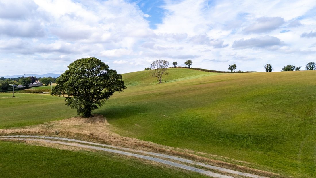Land in Newry, Mourne and Down District Council, Northern Ireland 4 - 18681166