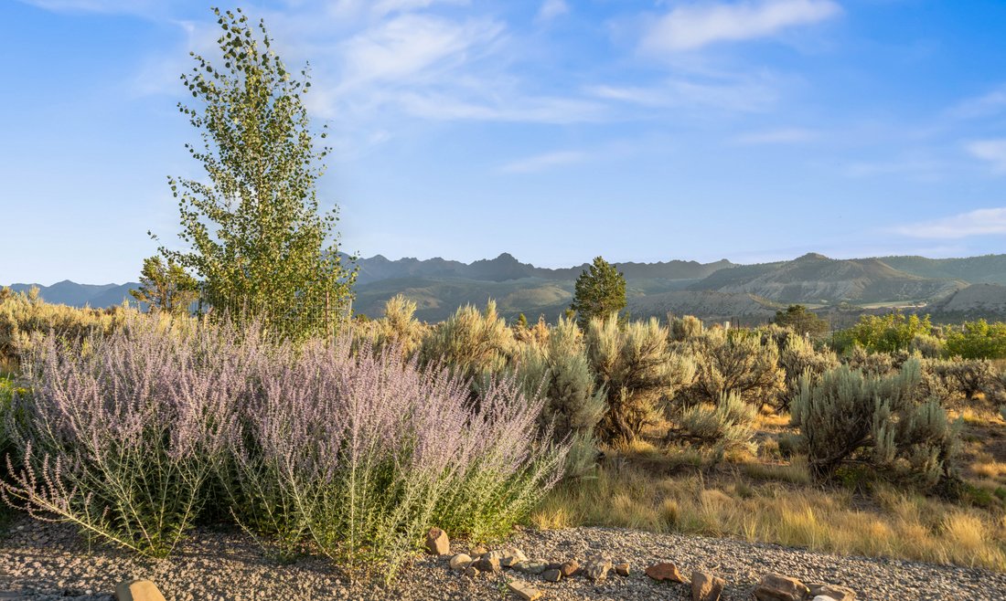 Andere in Ridgway, Colorado, Vereinigte Staaten 2 - 18290084