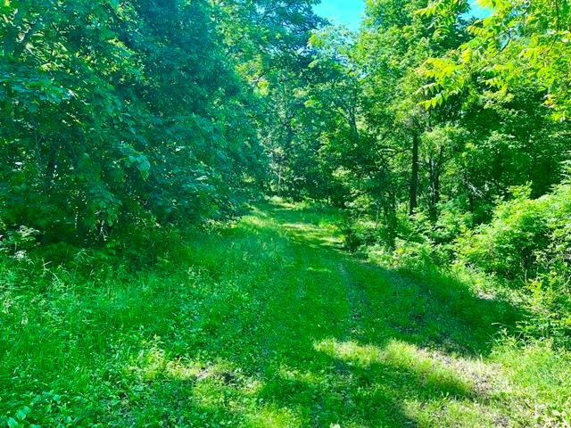 Land in Seneca, Wisconsin, United States 5 - 18681099