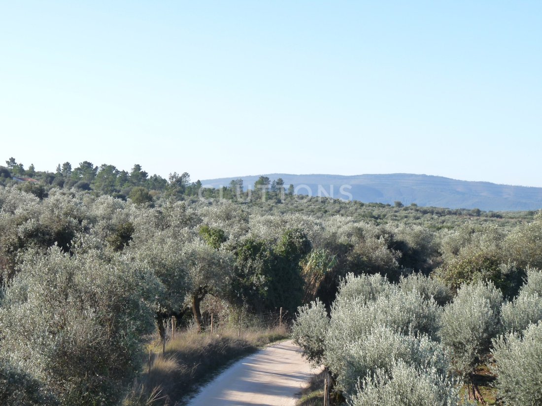 Land in Borba (Sao Bartolomeu), Évora District, Portugal 4 - 18683517