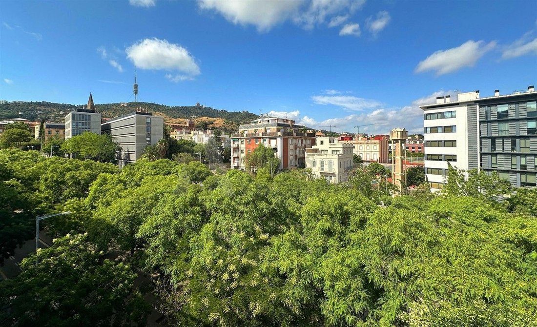 Apartment in Sarrià-Sant Gervasi, Barcelona, Spain 3 - 18680583