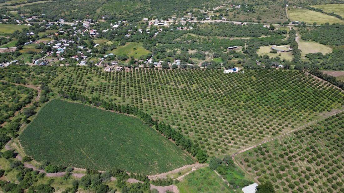 Land in Paso de San Antonio, San Luis Potosi, Mexico 5 - 18682589