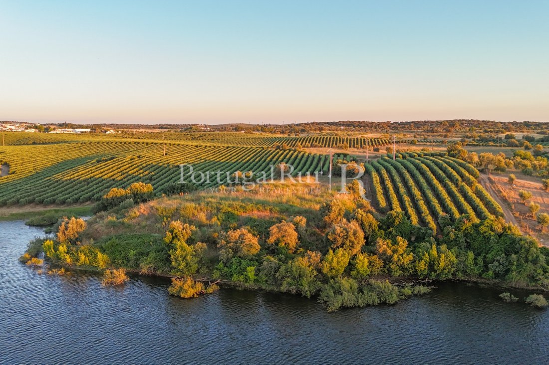 Land in Avis, Portalegre District, Portugal 2 - 18683522