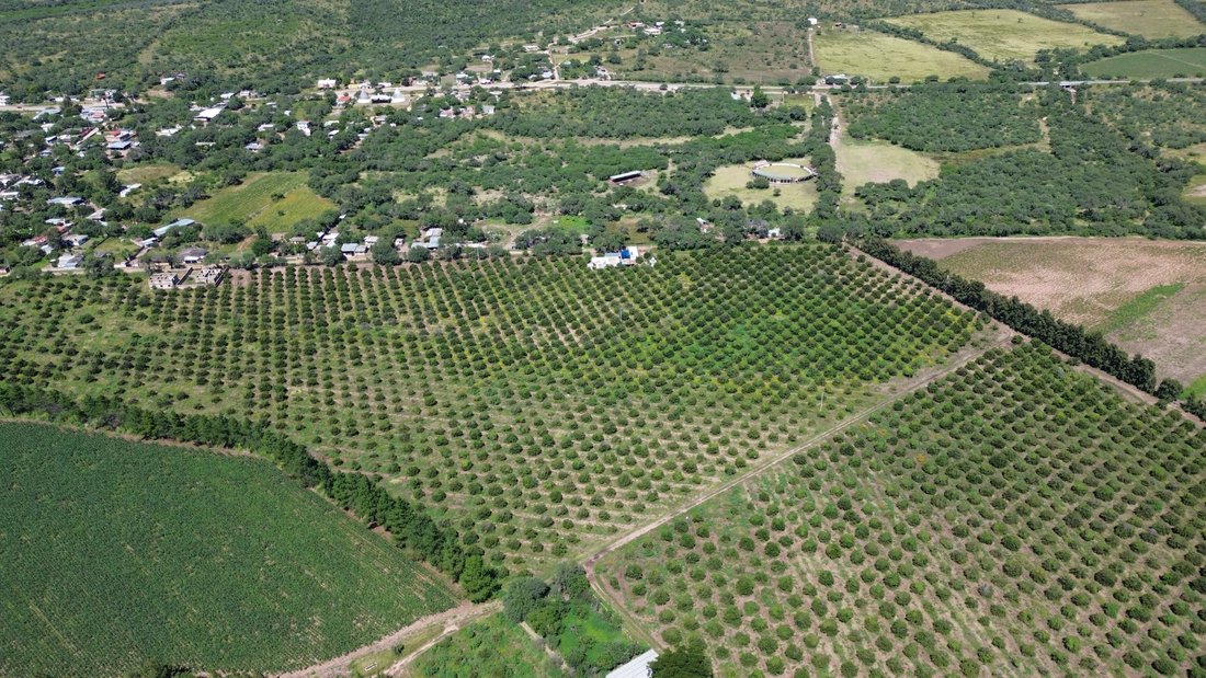 Land in Paso de San Antonio, San Luis Potosi, Mexico 4 - 18682589