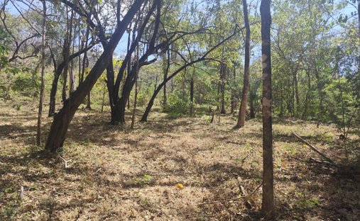 Land in Pinilla, Provinz Guanacaste, Costa Rica 1