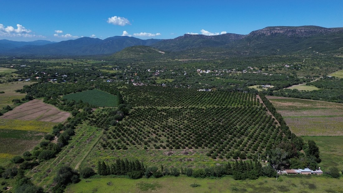 Land in Paso de San Antonio, San Luis Potosi, Mexico 3 - 18682589