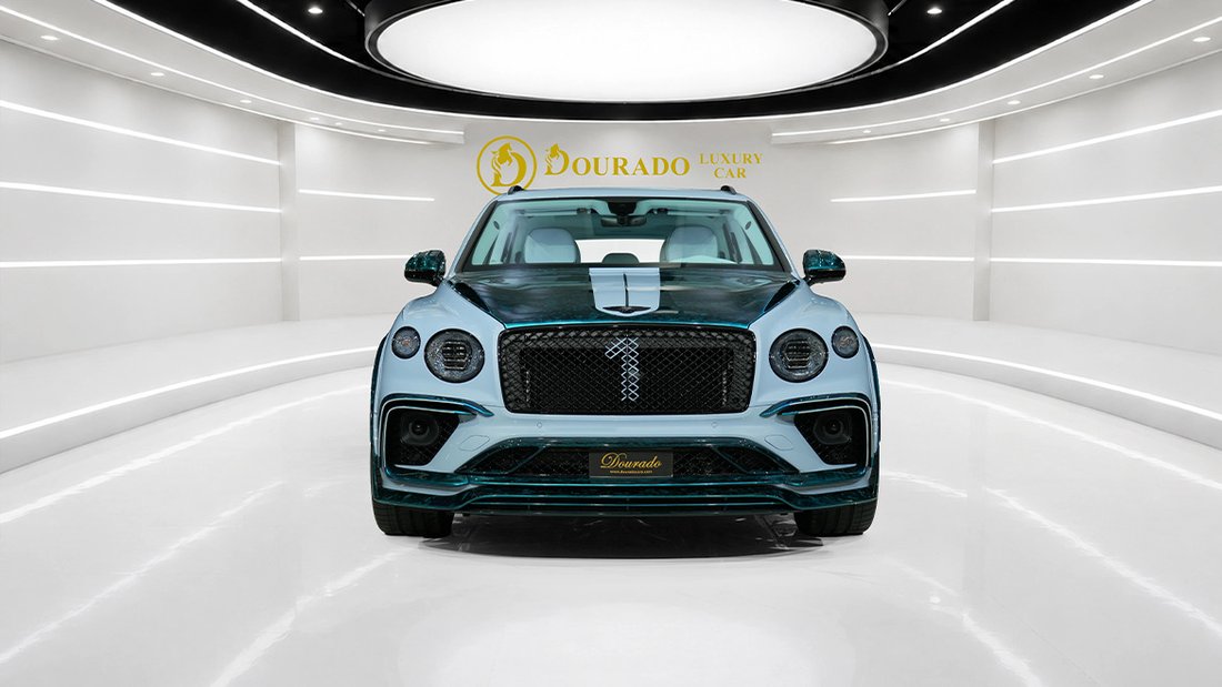 Suv in Dubai, United Arab Emirates 2 - 18684340