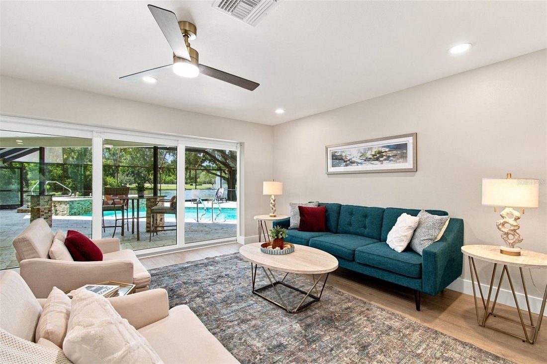 House in Palm Harbor, Florida, United States 5 - 18682567