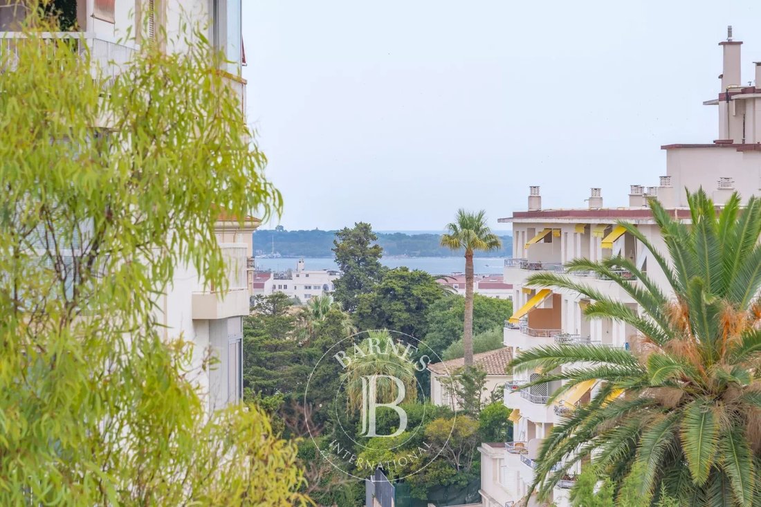 Villa in Cannes, Provence-Alpes-Côte d'Azur, France 3 - 18681424