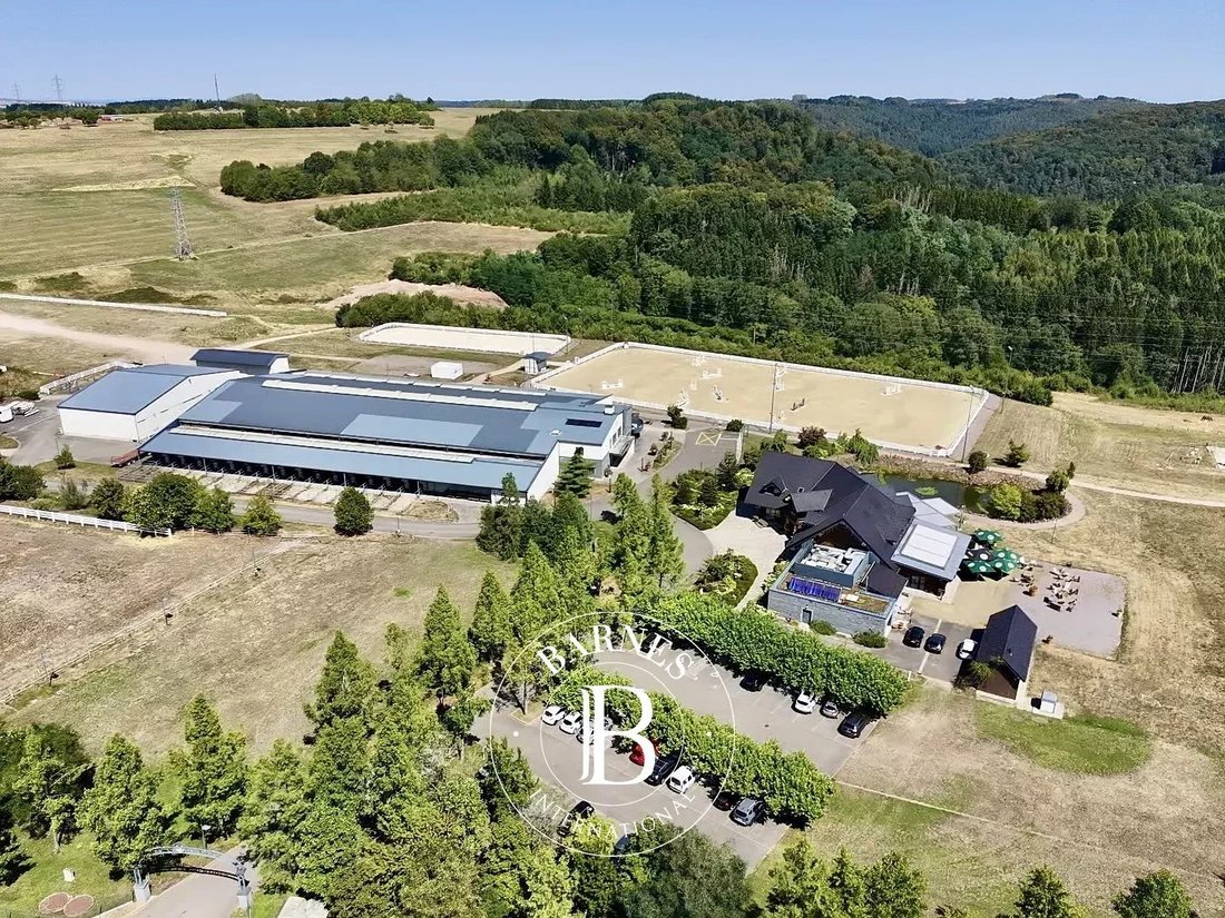 Estate in Lemberg, Grand Est, France 5 - 18683515