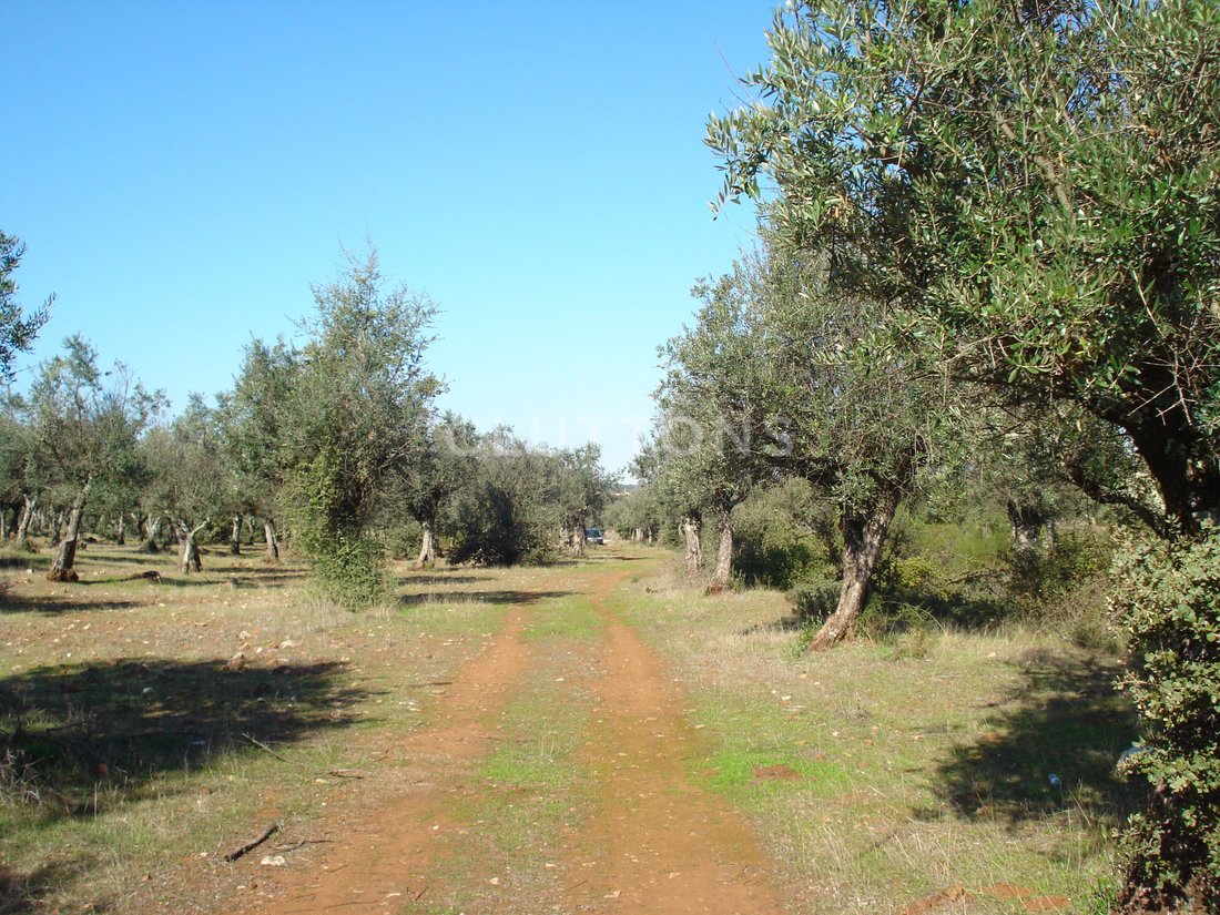 Land in Borba (Sao Bartolomeu), Évora District, Portugal 5 - 18683517