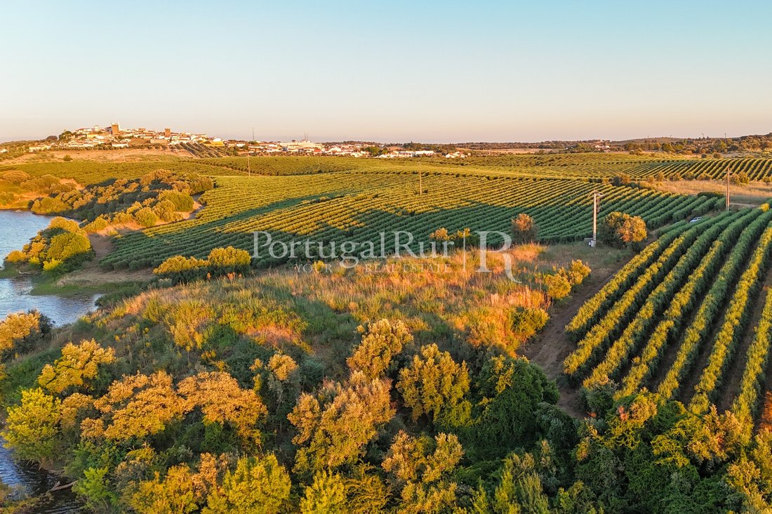 Land in Avis, Portalegre District, Portugal 3 - 18683522