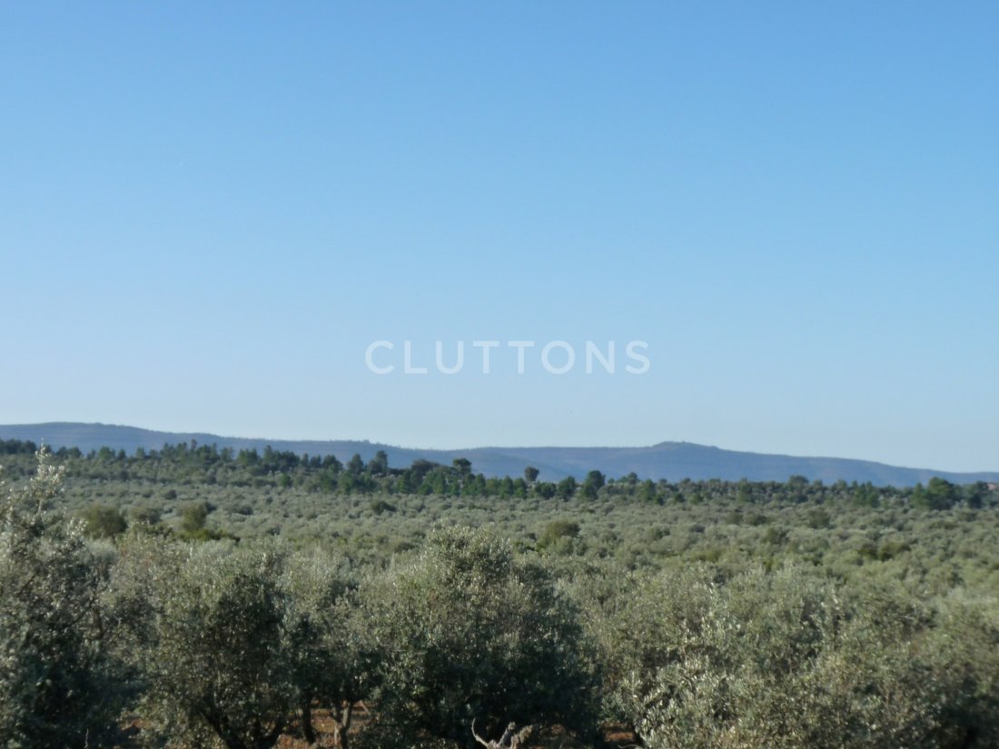 Land in Borba (Sao Bartolomeu), Évora District, Portugal 2 - 18683517