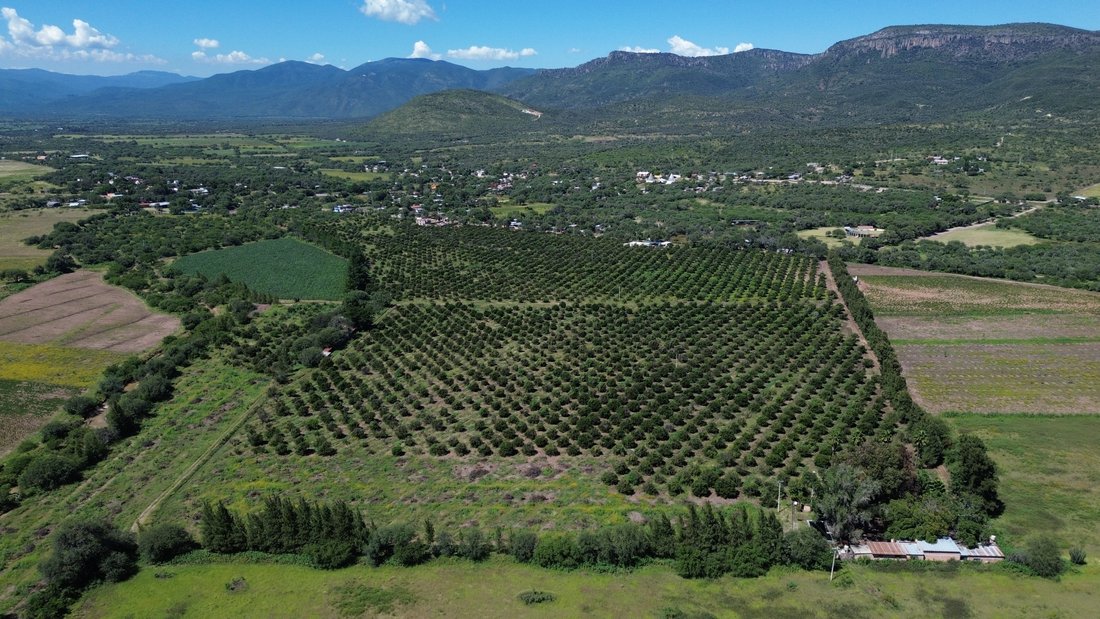 Land in Paso de San Antonio, San Luis Potosi, Mexico 2 - 18682589