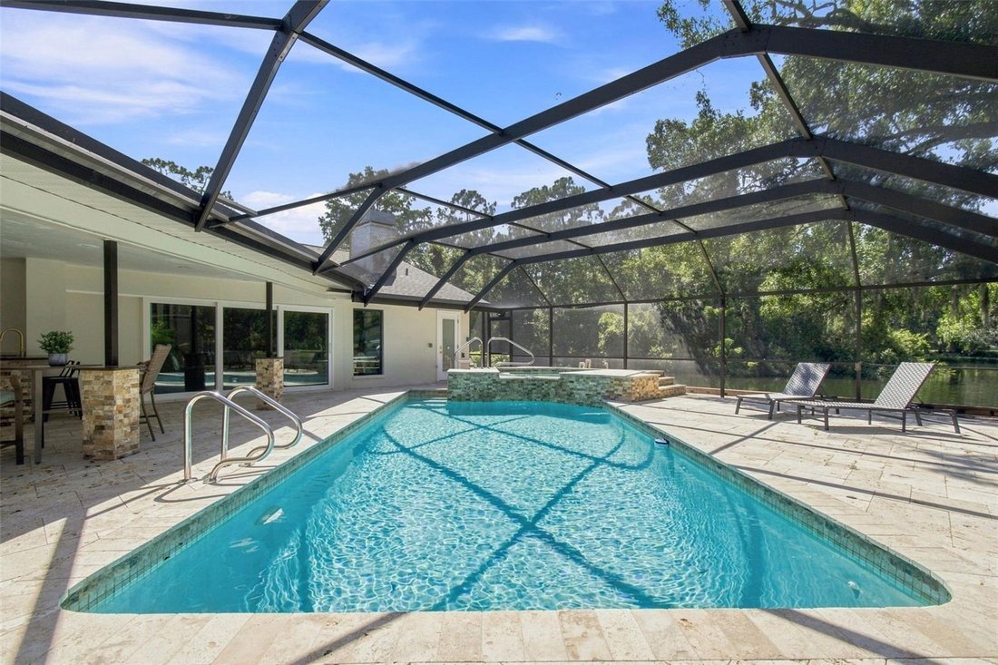 House in Palm Harbor, Florida, United States 2 - 18682567