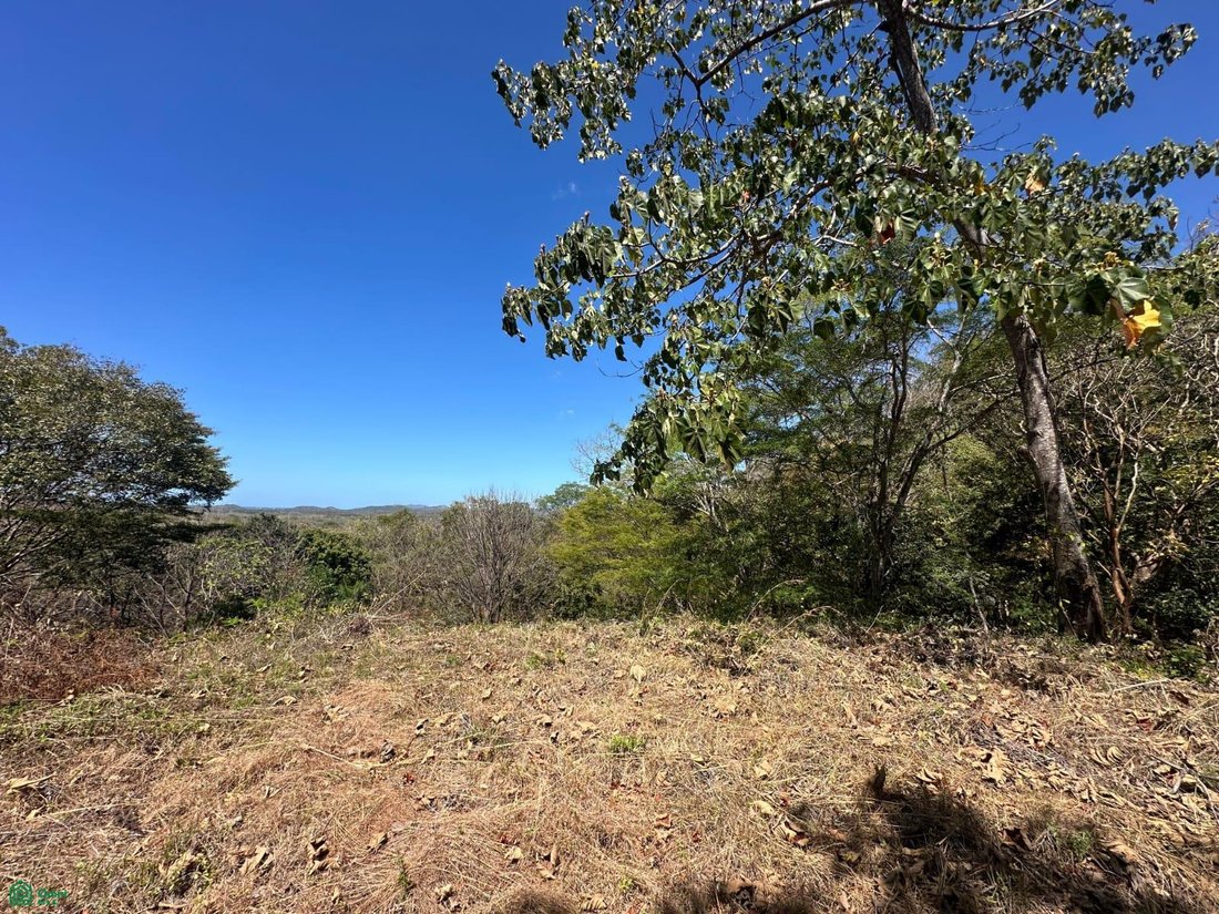 Terreno en Pinilla, Provincia de Guanacaste, Costa Rica 5 - 17814241