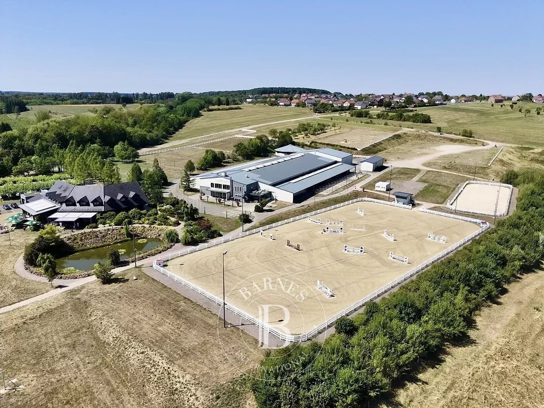 Estate in Lemberg, Grand Est, France 2 - 18683515