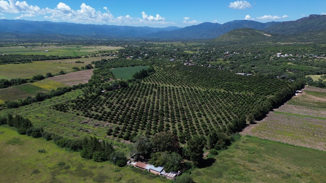 Land in Paso de San Antonio, San Luis Potosi, Mexico 1 - 18682589