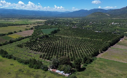 Land in Paso de San Antonio, San Luis Potosi, Mexico 1