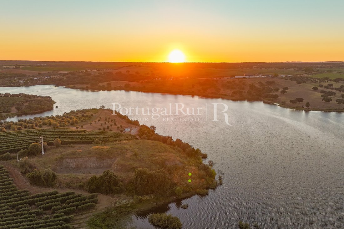 Land in Avis, Portalegre District, Portugal 5 - 18683522