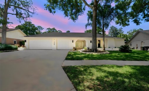 House in Palm Harbor, Florida, United States 1