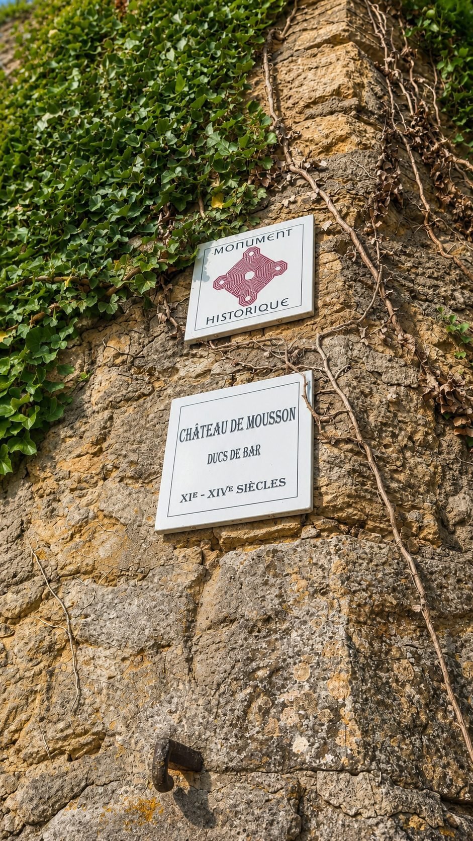 Chateau in Mousson, Grand Est, France 2 - 18684409
