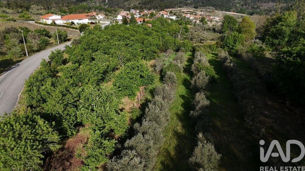 Farm Ranch in Sezures, Viseu District, Portugal 5 - 18187826