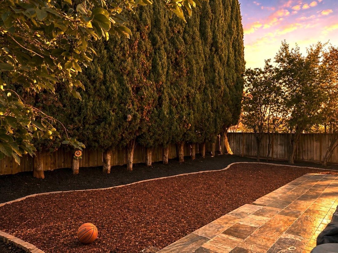 House in San Jose, California, United States 3 - 18684720