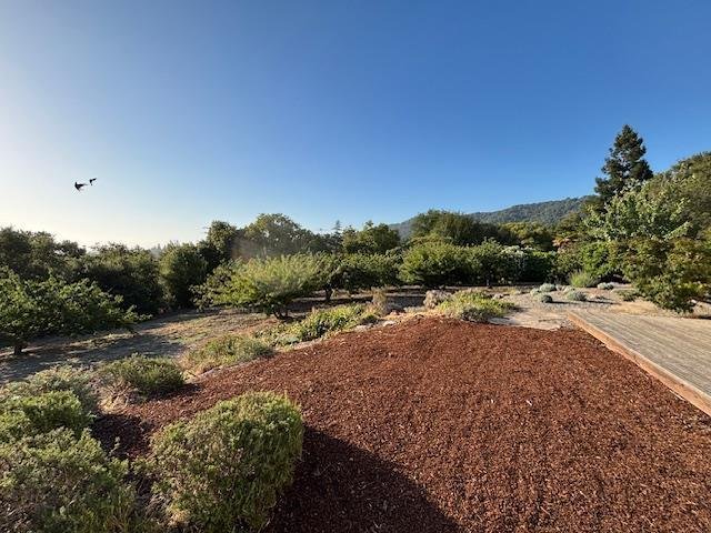 House in Los Altos Hills, California, United States 3 - 18685689