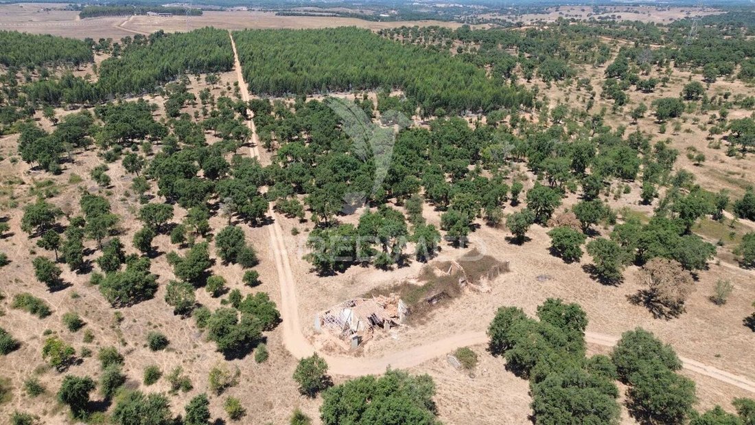Farm Ranch in Cercal, Setubal, Portugal 2 - 18685435