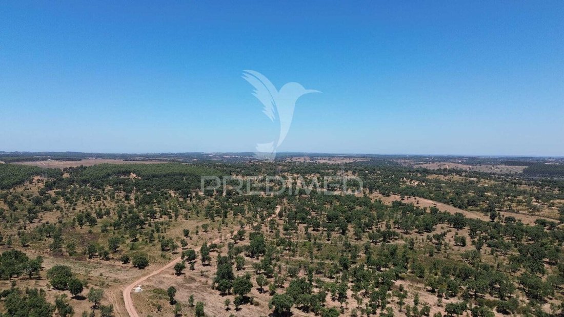 Farm Ranch in Cercal, Setubal, Portugal 5 - 18685435