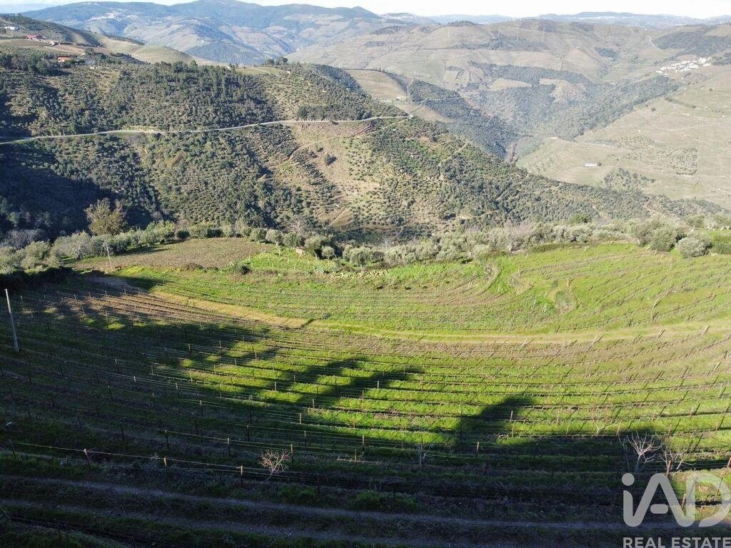 Farm Ranch in Tabuaco, Viseu District, Portugal 5 - 18685791