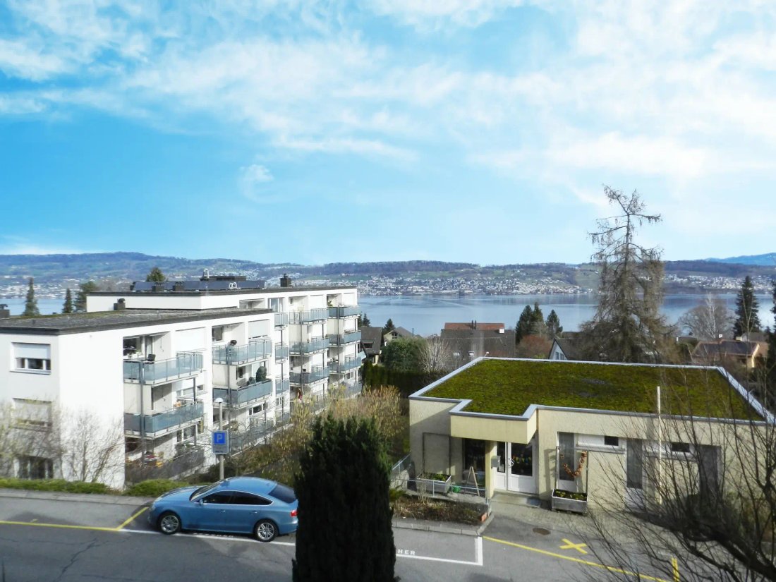 Apartment in Wädenswil, Zürich, Switzerland 1 - 18684729