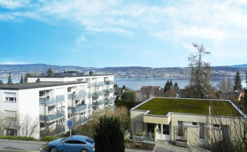 Appartement à Wädenswil, Canton de Zurich, Suisse 1