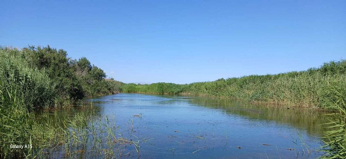 Farm Ranch in Valkfontein 238-Iq, Gauteng, South Africa 1 - 18684966