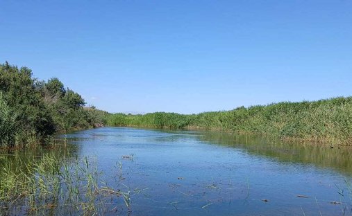Farm Ranch in Valkfontein 238-Iq, Gauteng, South Africa 1