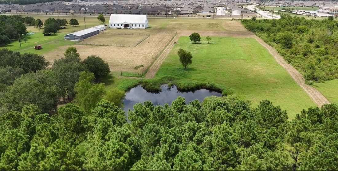 Farm Ranch in Rosharon, Texas, United States 3 - 18576355