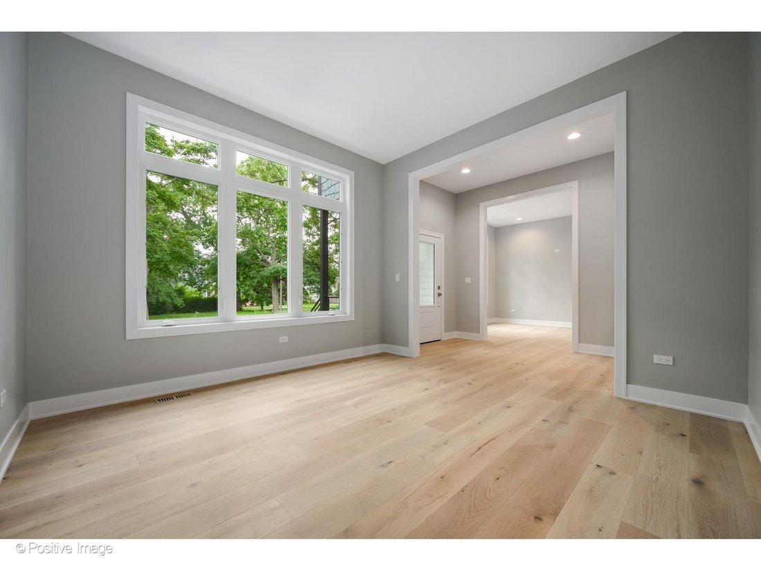 House in Chicago, Illinois, United States 5 - 18685709